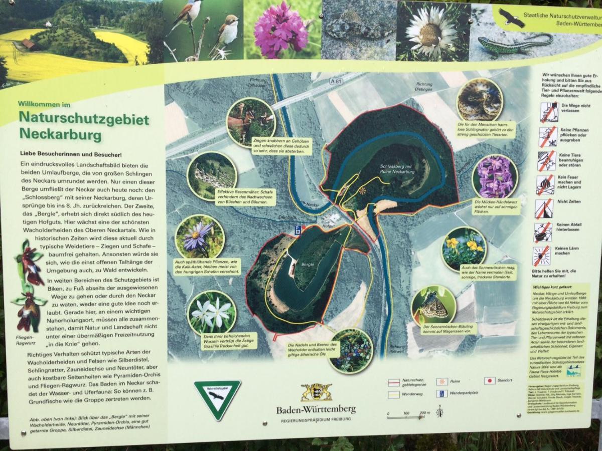 Turm Im Blick Lejlighed Dietingen Eksteriør billede